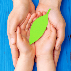 Környezetbarát/ÖKO tisztítószerek - Ipar Market