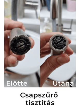Brilliance® ÖKO Vízkőoldó 1 liter - Ipar Market